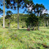 Terreno a Venda - Serra Catarinense - Vista para o Vale e Montanhas