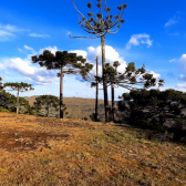 Terreno a Venda - Urubici - Boa Localizao - Serra Catarinense 