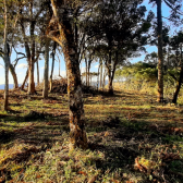 Terreno a Venda - Urubici - Boa Localizao - Serra Catarinense 