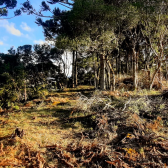 Terreno a Venda - Urubici - Boa Localizao - Serra Catarinense 