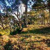 Terreno a Venda - Urubici - Boa Localizao - Serra Catarinense 