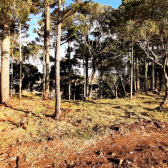 Terreno a Venda - Urubici - Boa Localizao - Serra Catarinense 