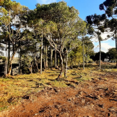 Terreno a Venda - Urubici - Boa Localizao - Serra Catarinense 