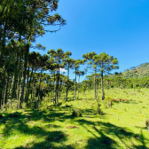 Terreno a Venda - Urubici - Linda Vista das Montanhas 