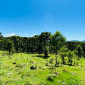 Terreno a Venda - Urubici - Linda Vista das Montanhas 