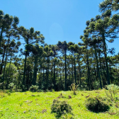 Terreno a Venda - Urubici - Linda Vista das Montanhas 