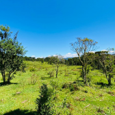 Terreno a Venda - Urubici - Linda Vista das Montanhas 