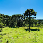 Terreno a Venda - Urubici - Linda Vista das Montanhas 