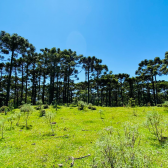 Terreno a Venda - Urubici - Linda Vista das Montanhas 