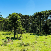 Terreno a Venda - Urubici - Linda Vista das Montanhas 