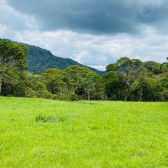 Terreno a Venda - Urubici - Corvo Branco - Serra Catarinense 