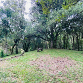 Terreno a Venda - Urubici - Corvo Branco - Serra Catarinense 