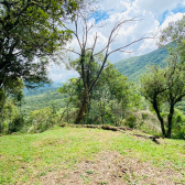 Terreno a Venda - Urubici - Corvo Branco - Serra Catarinense 