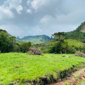 Terreno a Venda - Urubici - Corvo Branco - Serra Catarinense 