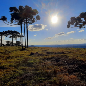 Terreno a Venda - Urubici - tima Localizao - Serra Catarinense 