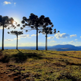 Terreno a Venda - Urubici - tima Localizao - Serra Catarinense 