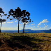 Terreno a Venda - Urubici - tima Localizao - Serra Catarinense 