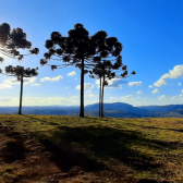 Terreno a Venda - Urubici - tima Localizao - Serra Catarinense 