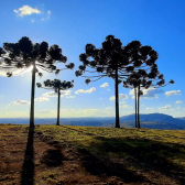 Terreno a Venda - Urubici - tima Localizao - Serra Catarinense 