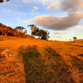 Terreno a Venda - Urubici - tima Localizao - Serra Catarinense 