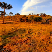 Terreno a Venda - Urubici - tima Localizao - Serra Catarinense 