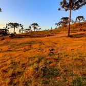 Terreno a Venda - Urubici - tima Localizao - Serra Catarinense 