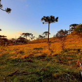 Terreno a Venda - Urubici - tima Localizao - Serra Catarinense 