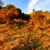 Terreno a Venda - Urubici - tima Localizao - Serra Catarinense 