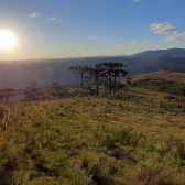 Terreno a Venda - Urubici - tima Localizao - Vista das Montanhas 