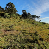 Terreno a Venda - Urubici - tima Localizao - Vista das Montanhas 