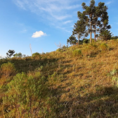 Terreno a Venda - Urubici - tima Localizao - Vista das Montanhas 