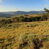 Terreno a Venda - Urubici - tima Localizao - Vista das Montanhas 