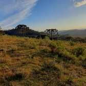 Terreno a Venda - Urubici - tima Localizao - Vista das Montanhas 