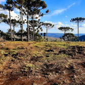 Terreno a Venda - Urubici - tima Localizao - Vista para o Vale 