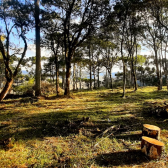 Terreno a Venda - Urubici - tima Localizao - Vista para o Vale 