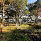 Terreno a Venda - Urubici - tima Localizao - Vista para o Vale 