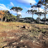 Terreno a Venda - Urubici - tima Localizao - Vista para o Vale 