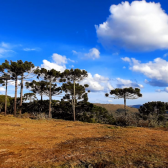 Terreno a Venda - Urubici - tima Localizao - Vista para o Vale 