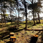 Terreno a Venda - Urubici - tima Localizao - Vista para o Vale 