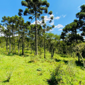 Terreno a Venda - Urubici - Serra Catarinense 