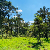 Terreno a Venda - Urubici - Serra Catarinense 