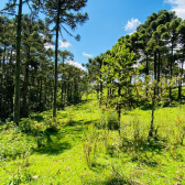 Terreno a Venda - Urubici - Serra Catarinense 