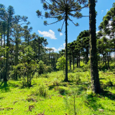 Terreno a Venda - Urubici - Serra Catarinense 