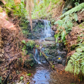 Terreno a Venda - Urubici - Serra Catarinense 