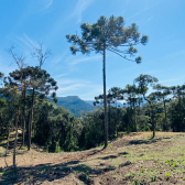 Terreno a Venda - Urubici - Serra Catarinense 