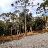 Terreno a Venda - Urubici - Serra Catarinense 