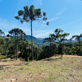 Terreno a Venda - Urubici - Serra Catarinense 