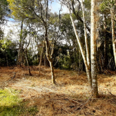 Terreno a Venda - Urubici - Serra Catarinense 