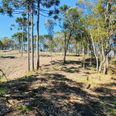 Terreno a Venda - Urubici - Serra Catarinense 