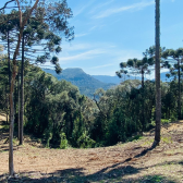 Terreno a Venda - Urubici - Serra Catarinense 